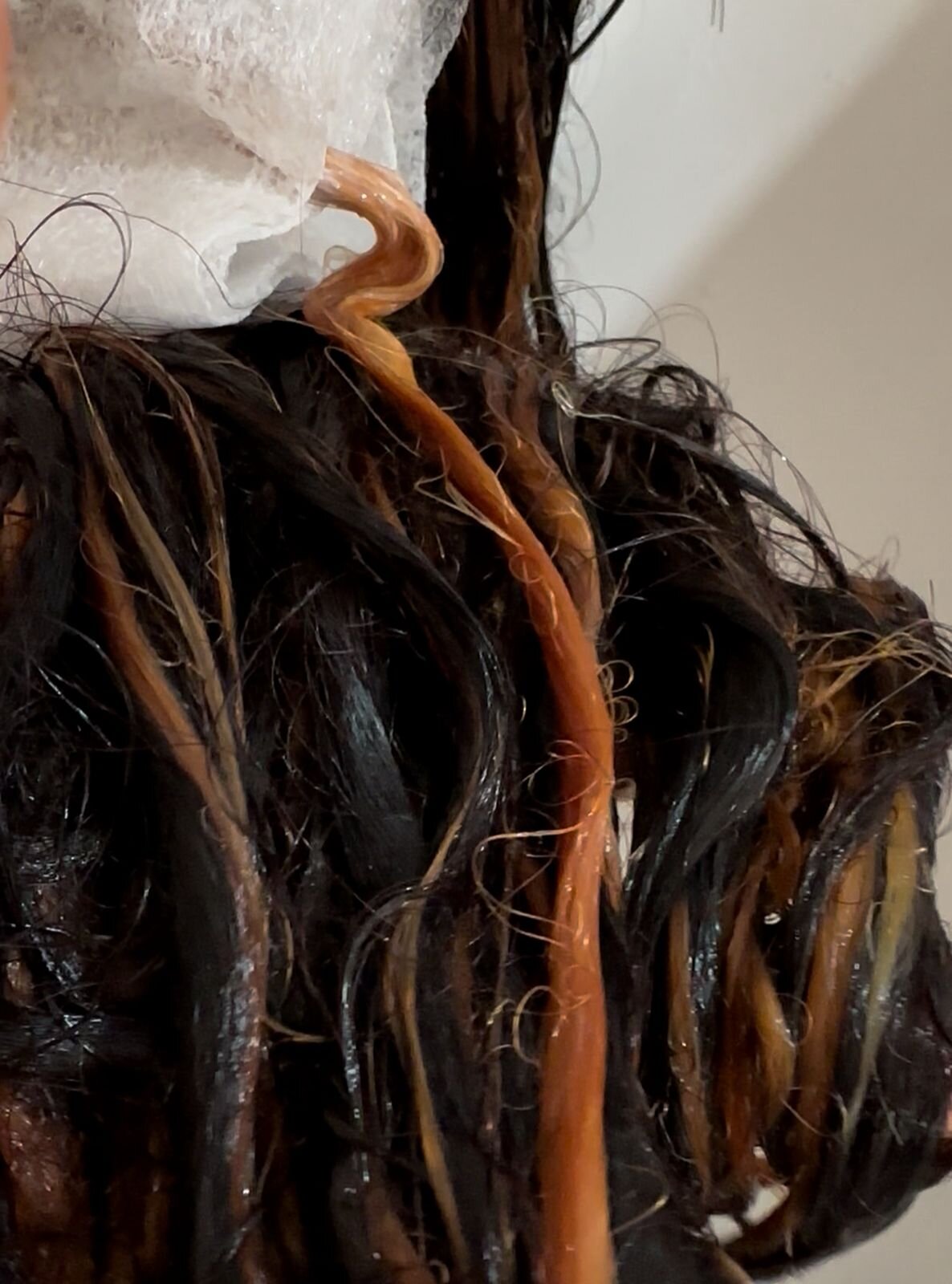 Mecha de cabelo em processo de descoloração mostrando a progressão do preto para o tom alaranjado